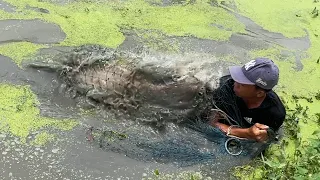 Amazing Fishermen Skills vs. Giant Fish 👏