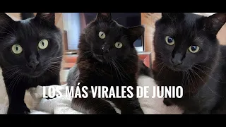 Lo más viral en junio de KratosRama
