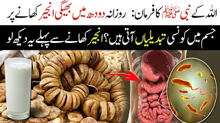 Magical Benefits Of Eating Figs With Milk | Prophet's (Saw) Opinion About Figs | Anjeer Ky Fowaid
