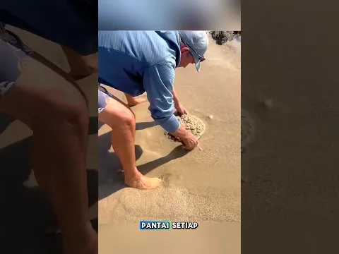 Dia menemukan kutu laut mengerikan 😰