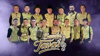Banda Tava'i en Vivo