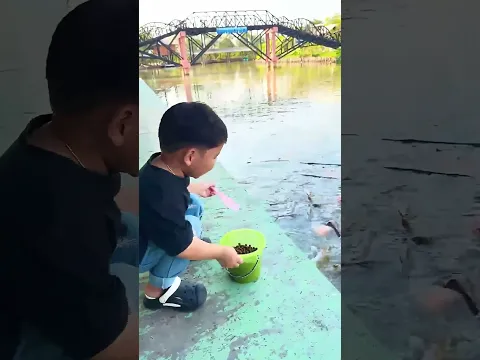 Kid Fed ALL the Fish! 😳🐟
