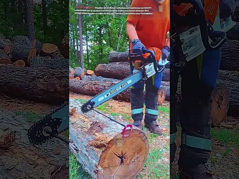 Marquage de bûches avec tronçonneuse et règle magnétique Acc U Mark pour un sciage précis