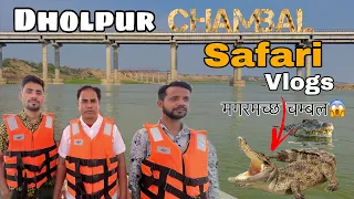 Dholpur Chambal safari 🐊🐊😱 #dholpur #chambalsafari Islamic team