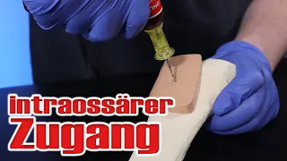Der intraossäre Zugang | Durchführung | How To