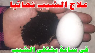 بدون قسم /علاج شعر الشيب نهائيا وللأبد بدون صبغة بخلطة سحرية والتخلص من الشعر الابيض نهائيا