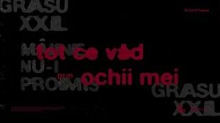 Grasu XXL – Tot ce e frumos feat. @GuessWhoRomania @idcash (Lyric Video)