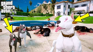 BEYAZ PİTBULL JACK YAVRULARINI ROTTWEILER SÜRÜSÜNDEN KURTARIYOR! - GTA 5