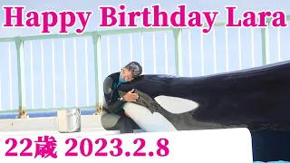ララ22歳お誕生日おめでとう!! 鴨川シーワールド シャチ kamogawaseaworld orca killerwhale