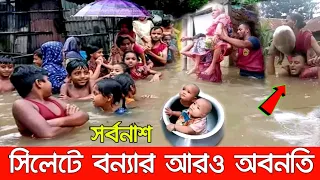 শেষ রক্ষা হলোনা! সিলেটে আরও ভয়াবহ বন্যার অবনতি।~ মূহুর্তেই ভেঙ্গে যাচ্ছে হাজার হাজার ঘরবাড়ি