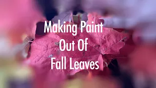Making Paint Out Of Fall Leaves!!!
