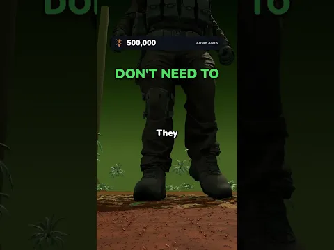 How Many Ants Does It Take to Beat the US Army?