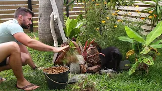 Une fontaine solaire dans un petit jardin