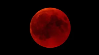 CAPRICORN:  BLOODMOON & #16:  Everything U prayed 4 is happening. Be patient & open UR 3rd 👁 🤑