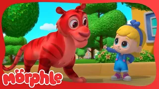 Animales intercambiados | Morphle | Caricaturas para niños | En español