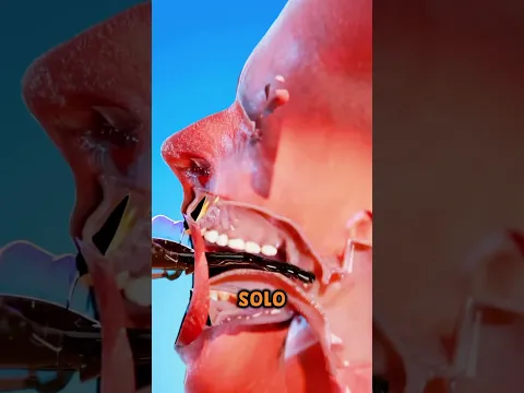 COCA-COLA Y MENTOS PODRÍAN HACERTE EXPLOTAR