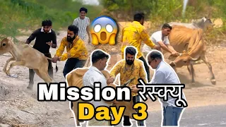 Mission रेस्क्यू Day 3 ll सड़क पे accident और हमारी गौशाला मैं सुरक्षित 🙏😱ll गौ माता बचाओ mission