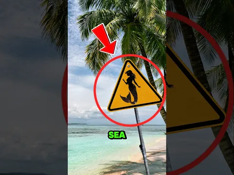 Don’t ever swim at the beach if you see this⚠️
