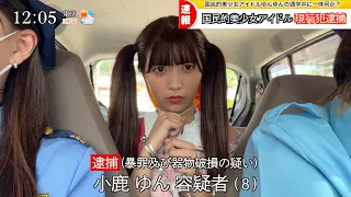 国民的美少女アイドル小学生の妹が逮捕されました