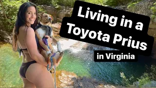 Living in a Prius: Secret swimming holes & Shenandoah National Park