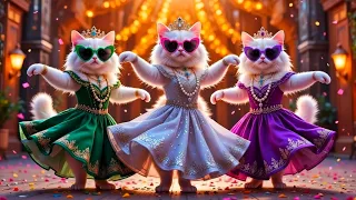 बिल्ली का डांस | Cat videos | funny kittens dance 😻💃| Videos for cats billi dance | #dancingcat #cat