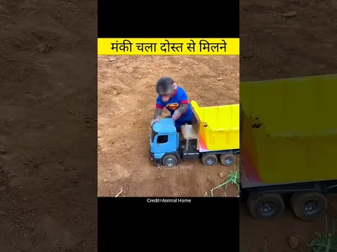 मंकी चला दोस्त से मिलने | Amazing videos in hindi #shorts