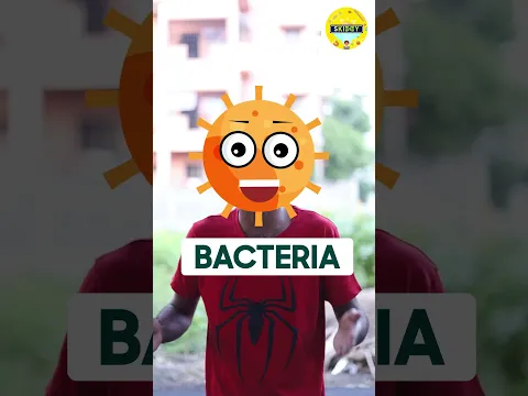 Tiffen box ah திறந்தாலே கெட்ட வாடை வருதா! | Why Tiffen Box stinks on opening. | Science facts | kids