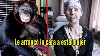 La mujer que llamo al 911 porque un chimpance le arrancó el rostro a su amiga.