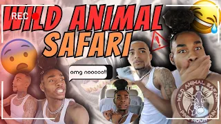 WILD ANIMAL SAFARI |  FUNNY EXPERIENCE