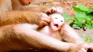 Bb Rainbow cried, When mother checking