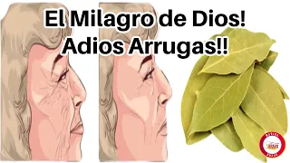 El Milagro de Dios! Laurel para combatir las arrugas y lucir más joven.