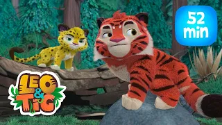 Leo & Tig - A Pequena Frieza e mais episódios completos | Desenho infantil 🐯🦁