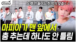 (더보이즈) 흔한 남돌의 소름 돋는 연습량ㄷㄷ 맨 앞에서 다른 노래 들으면서도 완벽하게 춤추는 더보이즈 선우👏 마피아들이 게임 천재면 생기는 일ㅋㅋㅋ | #마피아댄스
