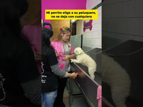 El corazón del perrito nunca se equivoca 🥹#moments #comedy #videosgraciosos #mascotas #shorts
