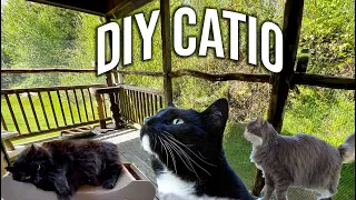BUILDING A DIY "CATIO" FOR OUR CATS!