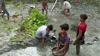 গ্রামের মাছ ধরার ভিডিও ভাইরাল | The village fishing video is viral | mapflix