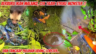 Berburu Ikan Malam2, Cek Tajur Strike Ikan Monster Dan Dapat Banyak Udang Lobster Di Pinggir Rumah😱