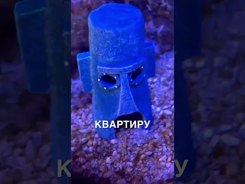 Самый необычный питомец