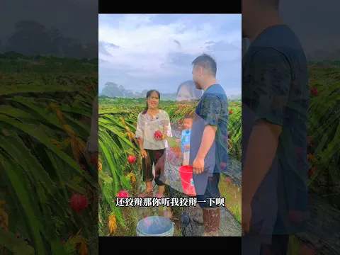 1 লক্ষ টাকা খরচ করে ড্রাগন ফলের বাগানটা করেছি এখনো টাকা ওঠেনি #shortvideo #short