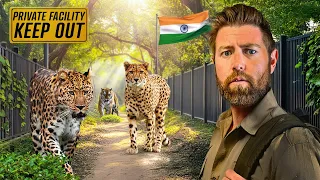 Private Tour of Billionaire's Secret Animal Sanctuary in India