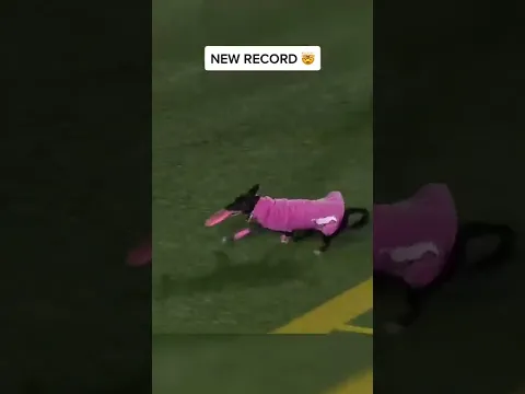 World record for longest catch at a sporting event and it’s by a dog! (via @Frisbee Rob)