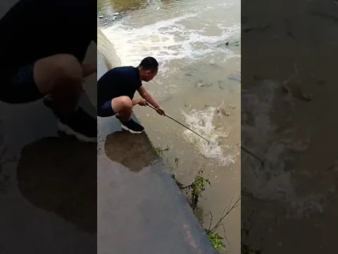Trap hand fishing movie, best throwing Catching fishing, bass fishing, village fishing, @phfish