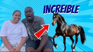 A mi hijo le salió un caballo 🐎 😱