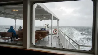 SHIP CRUISE Scenic Adventure 🚢🚢