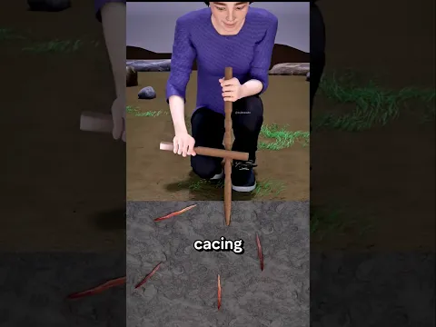 Cara Curang Menipu Cacing Tanah