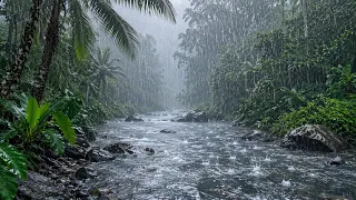NO ADS 🌧️ Heavy Rain Sounds in Forest - Fall Asleep Naturally with Heavy Rain