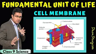 Cell Membrane | Structure and Functions | Fundamental Unit of Life | Class 9 Science | CBSE | NCERT