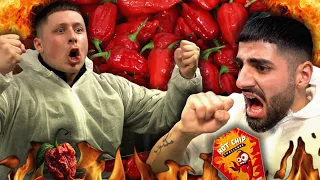 Das SCHÄRFSTE ESSEN der WELT | 2,2 MILLIONEN SCOVILLE | Spiel 8 | Jordan VS Semih