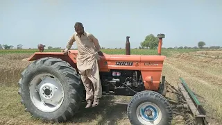 A man is cutting wheat with a machine. A snake has come.Call the man call Jogi FiazJogi caught snake