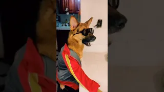 los mejores videos de Snapy6065 #3 🧒❤️🐶